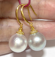 Radiant 12.5mm Indonesian South Sea Pearls Smoking Gray Blue Earrings