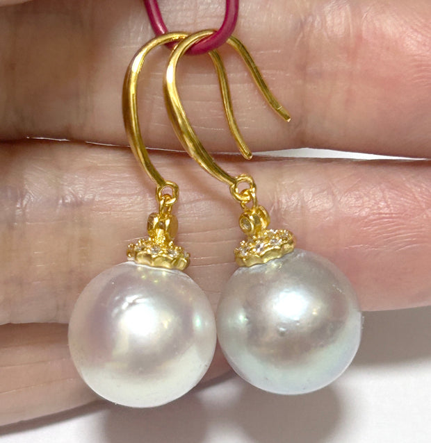 Radiant 12.5mm Indonesian South Sea Pearls Smoking Gray Blue Earrings