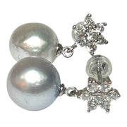 Round 10.9mm Indonesian Silver White South Sea Pearl Dangle Earrings
