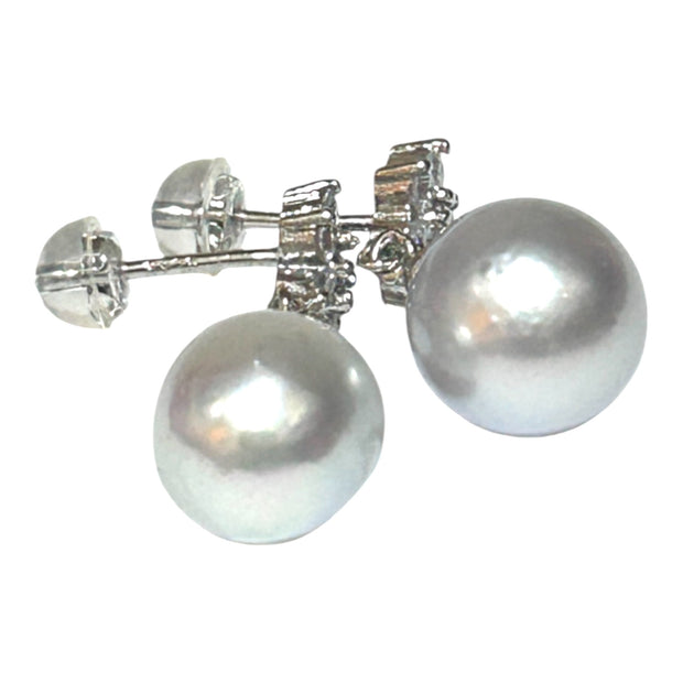 Round 10.9mm Indonesian Silver White South Sea Pearl Dangle Earrings