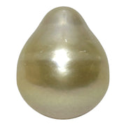 Oval Drop Giant 14.3 x 17.3mm Philippines South Sea Gold Pearl