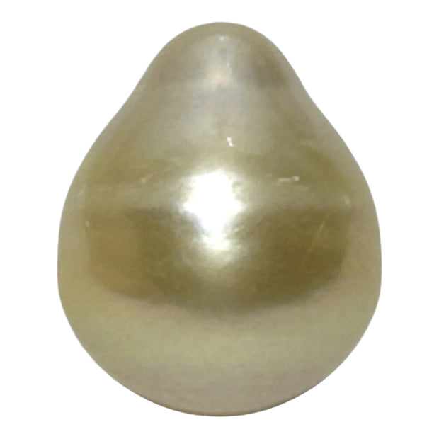Oval Drop Giant 14.3 x 17.3mm Philippines South Sea Gold Pearl
