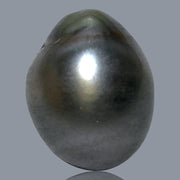12.1 x 15.2mm 14.6 Carats Tahitian Peacock Maddel Gray Loose Pearl