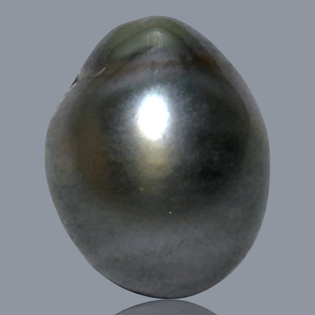 12.1 x 15.2mm 14.6 Carats Tahitian Peacock Maddel Gray Loose Pearl