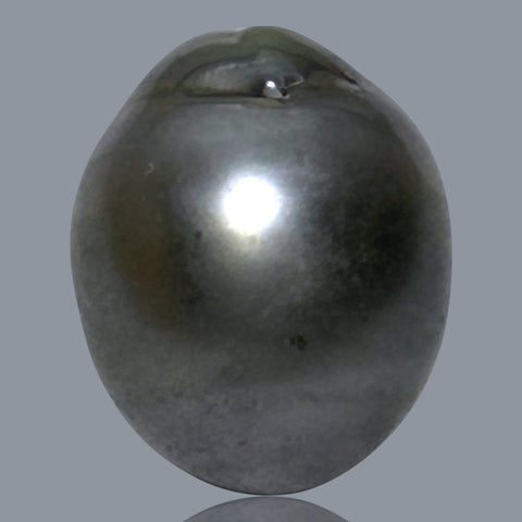 12.1 x 15.2mm 14.6 Carats Tahitian Peacock Maddel Gray Loose Pearl