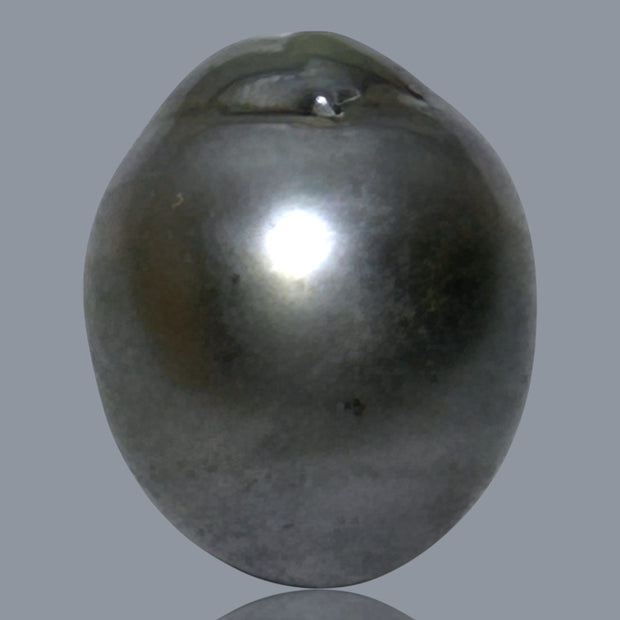 12.1 x 15.2mm 14.6 Carats Tahitian Peacock Maddel Gray Loose Pearl