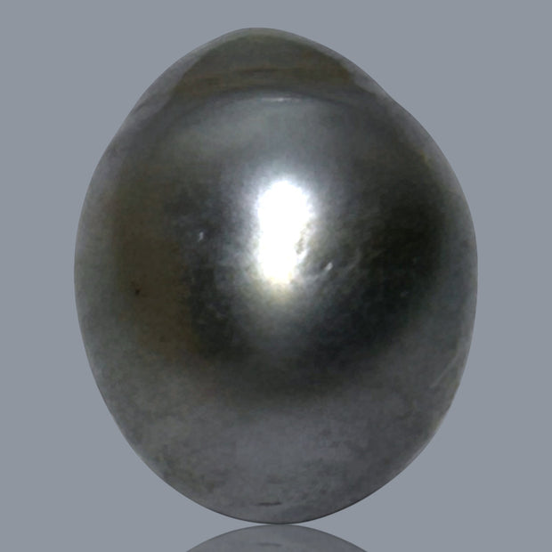 12.1 x 15.2mm 14.6 Carats Tahitian Peacock Maddel Gray Loose Pearl