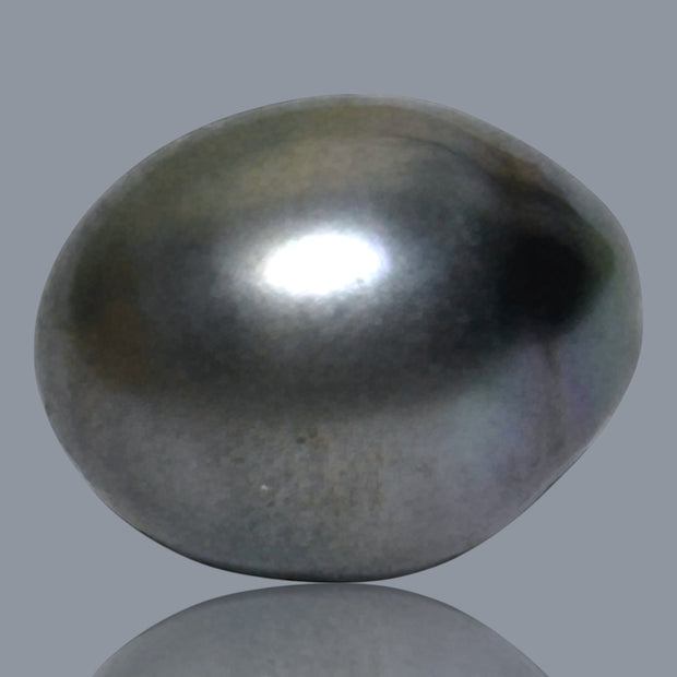 12.1 x 15.2mm 14.6 Carats Tahitian Peacock Maddel Gray Loose Pearl