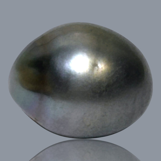 12.1 x 15.2mm 14.6 Carats Tahitian Peacock Maddel Gray Loose Pearl