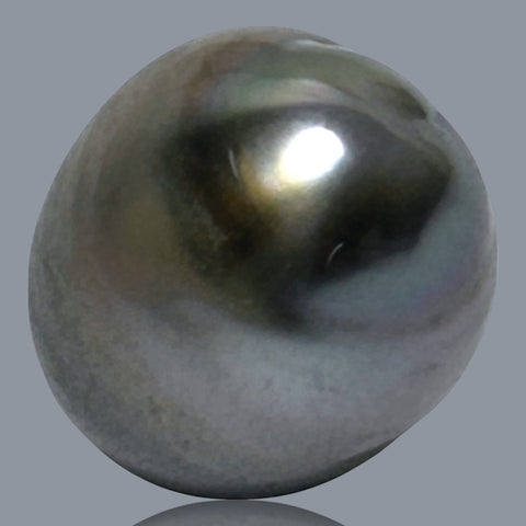 12.1 x 15.2mm 14.6 Carats Tahitian Peacock Maddel Gray Loose Pearl