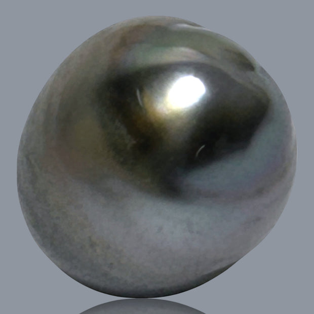 12.1 x 15.2mm 14.6 Carats Tahitian Peacock Maddel Gray Loose Pearl