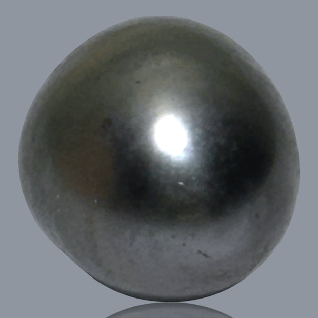 12.1 x 15.2mm 14.6 Carats Tahitian Peacock Maddel Gray Loose Pearl