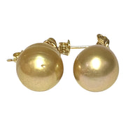 Drop 11.7 x 15.5mm Deep Gold Philippines South Sea Pearl Earrings