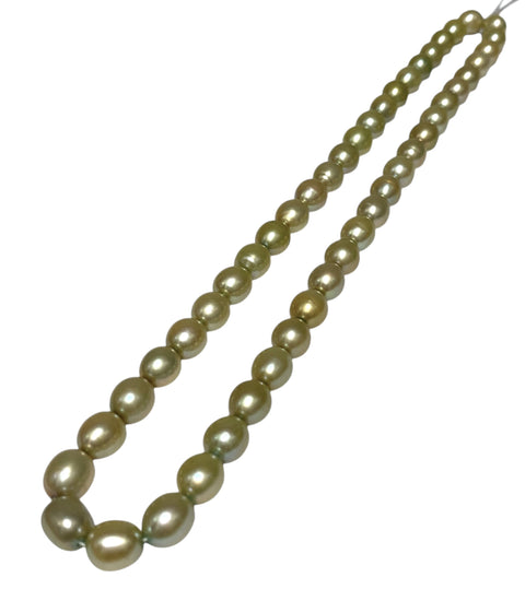 Smooth Oval 7 x 8.5mm Champagne Green Cultured FW Pearl 16" Strand
