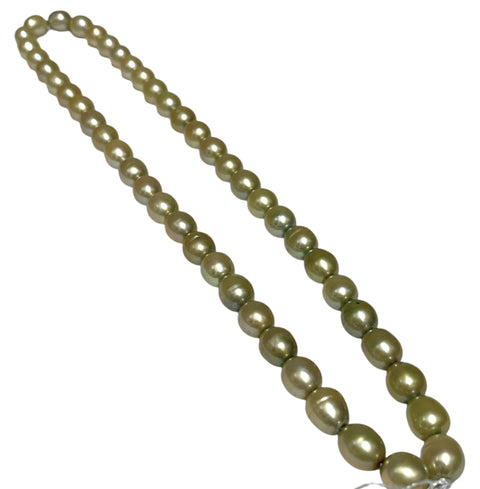 Smooth Oval 7 x 8.5mm Champagne Green Cultured FW Pearl 16" Strand