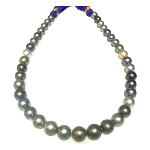 Round 10-11.7mm 38 pcs Tahitian Peacock Gray Green Pearl 16" Strand