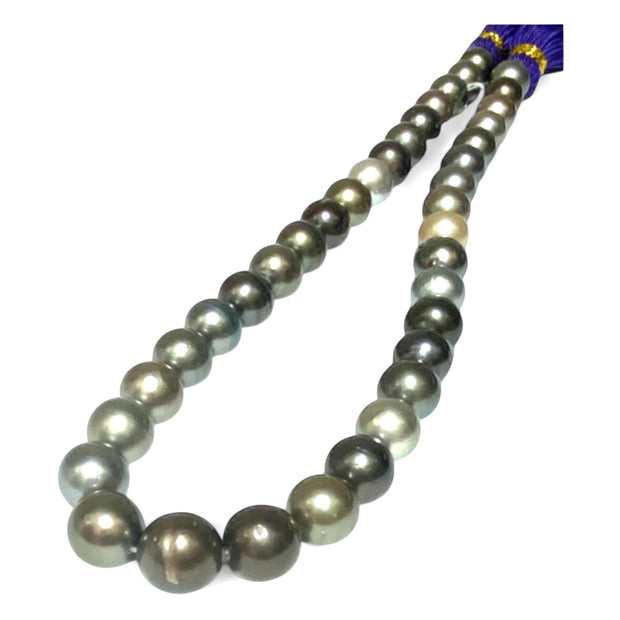 Round 10-11.7mm 38 pcs Tahitian Peacock Gray Green Pearl 16" Strand