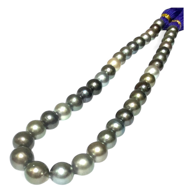 Round 10-11.7mm 38 pcs Tahitian Peacock Gray Green Pearl 16" Strand
