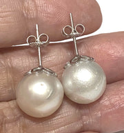 Classy 12.6mm South Sea Silver White Round Pearl Stud Earrings