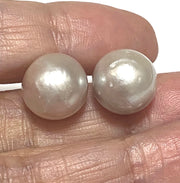 Round 12.2mm Smoke Silver Indonesian South Sea Pearl Stud Earrings