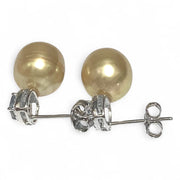 Oval 10.2 x 11mm Rich Gold Philippines South Sea Cultured Pearl Earrings
