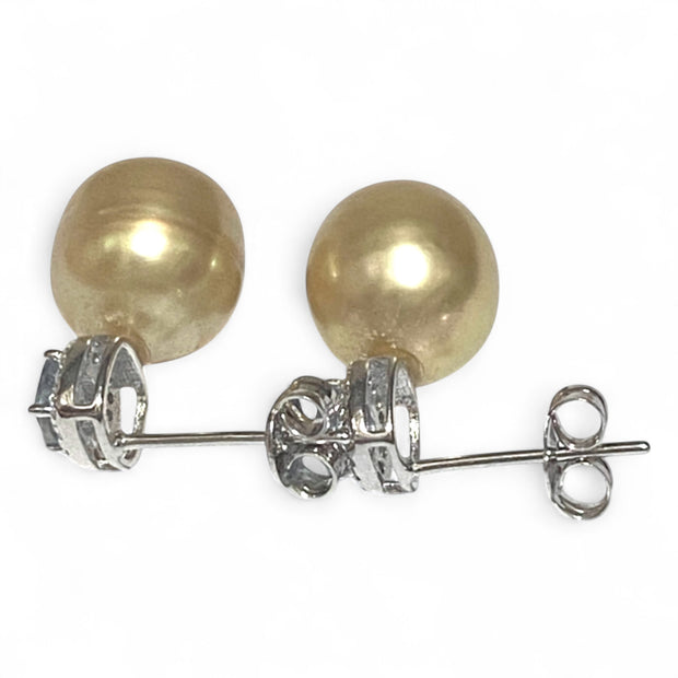Oval 10.2 x 11mm Rich Gold Philippines South Sea Cultured Pearl Earrings