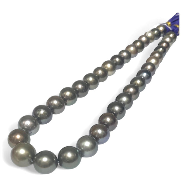 Round 11-13mm 35 pcs Tahitian Peacock Gray Green Pearl 16" Strand