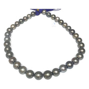 Round 11-13mm 35 pcs Tahitian Peacock Gray Green Pearl 16" Strand