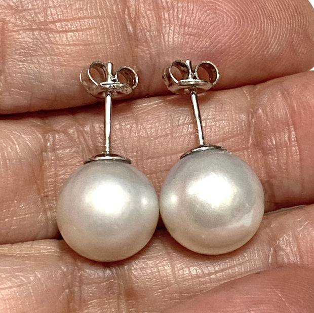 Elegant 11.1mm Silver White Indonesian South Sea Pearl Stud Earrings