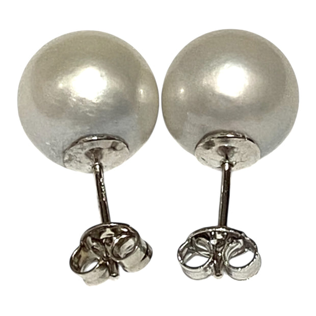 Elegant 11.1mm Silver White Indonesian South Sea Pearl Stud Earrings