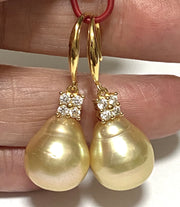 Oval 12.2 x 14.3mm Natural Gold South Sea Cultured Pearl Earrings