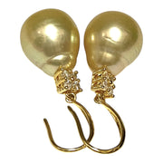 Oval 12.2 x 14.3mm Natural Gold South Sea Cultured Pearl Earrings
