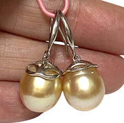 Oval 11.5 x 13mm Natural Rich Gold South Sea Cultured Pearl Earrings