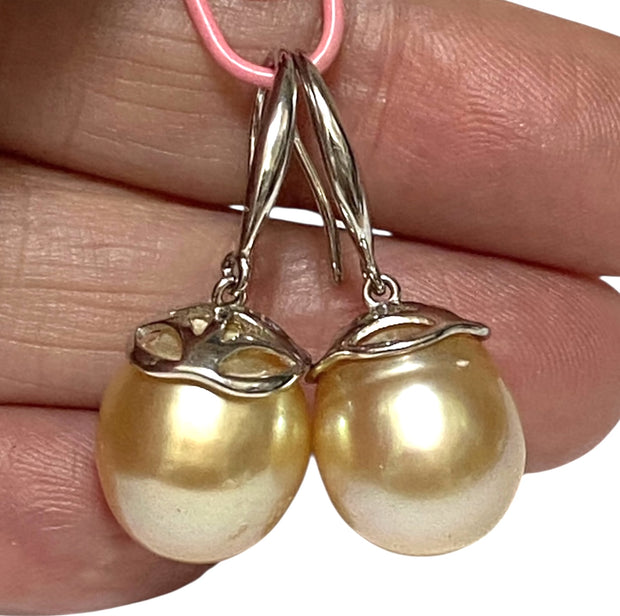 Oval 11.5 x 13mm Natural Rich Gold South Sea Cultured Pearl Earrings