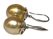 Oval 11.5 x 13mm Natural Rich Gold South Sea Cultured Pearl Earrings