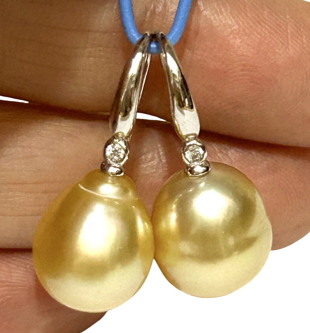 Oval Drop 11.6 x 12.9mm Golden South Sea Pearl Dangle Earrings