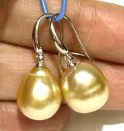 Oval Drop 11.6 x 12.9mm Golden South Sea Pearl Dangle Earrings