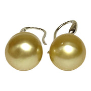 Oval Drop 11.6 x 12.9mm Golden South Sea Pearl Dangle Earrings