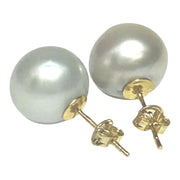 Round 12.6mm Silver White Indonesia South Sea Pearl Stud Earrings