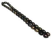 Oval 8.5 x 11.5mm Black Blue Brown FW Pearl 16" Strand - 18" Necklace