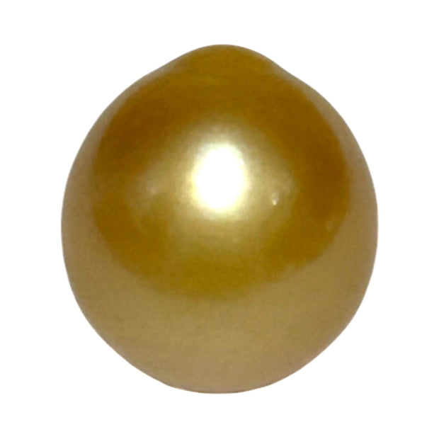 Unique 13.6 x 15mm 19.8 Carats Indonesia South Sea Gold Oval Pearl