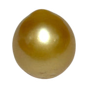 Unique 13.6 x 15mm 19.8 Carats Indonesia South Sea Gold Oval Pearl