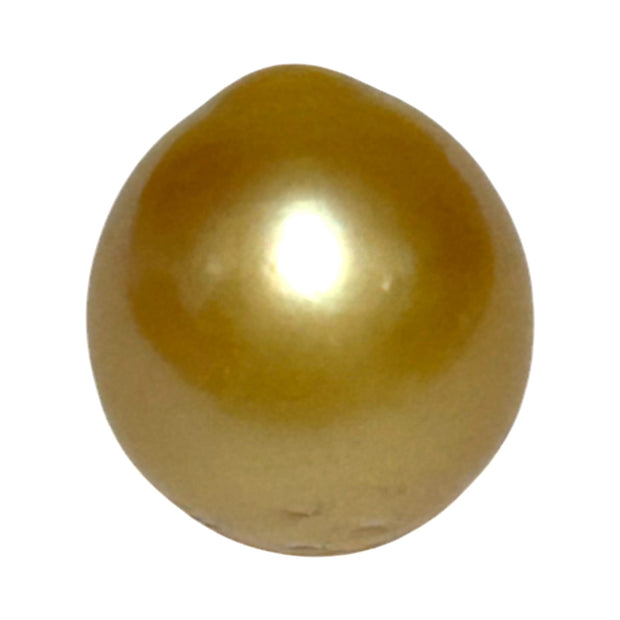 Unique 13.6 x 15mm 19.8 Carats Indonesia South Sea Gold Oval Pearl