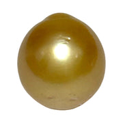 Unique 13.6 x 15mm 19.8 Carats Indonesia South Sea Gold Oval Pearl