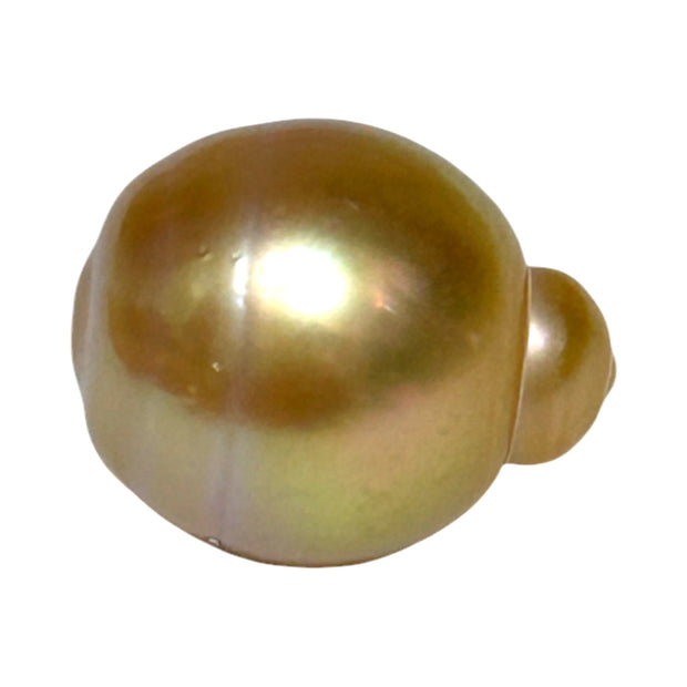 Delicate  Giant 14.5 x 17.6mm Deep Gold Philippines South Sea Pearl