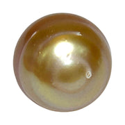 Delicate  Giant 14.5 x 17.6mm Deep Gold Philippines South Sea Pearl