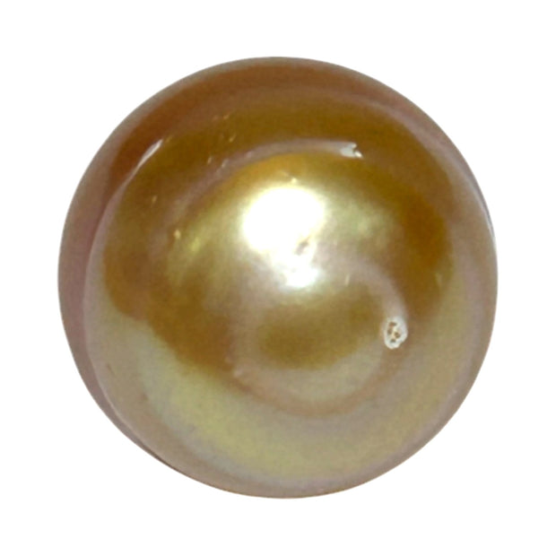 Delicate  Giant 14.5 x 17.6mm Deep Gold Philippines South Sea Pearl