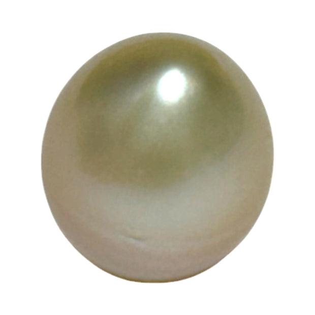 Teardrop 12,7 x 15.6mm 18.3 Carat Gold Philippines South Sea Pearl