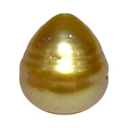 Giant Oval 16.4 x 18mm Deep Gold Philippines South Sea Loose Pearl