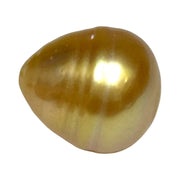 Giant Oval 16.4 x 18mm Deep Gold Philippines South Sea Loose Pearl